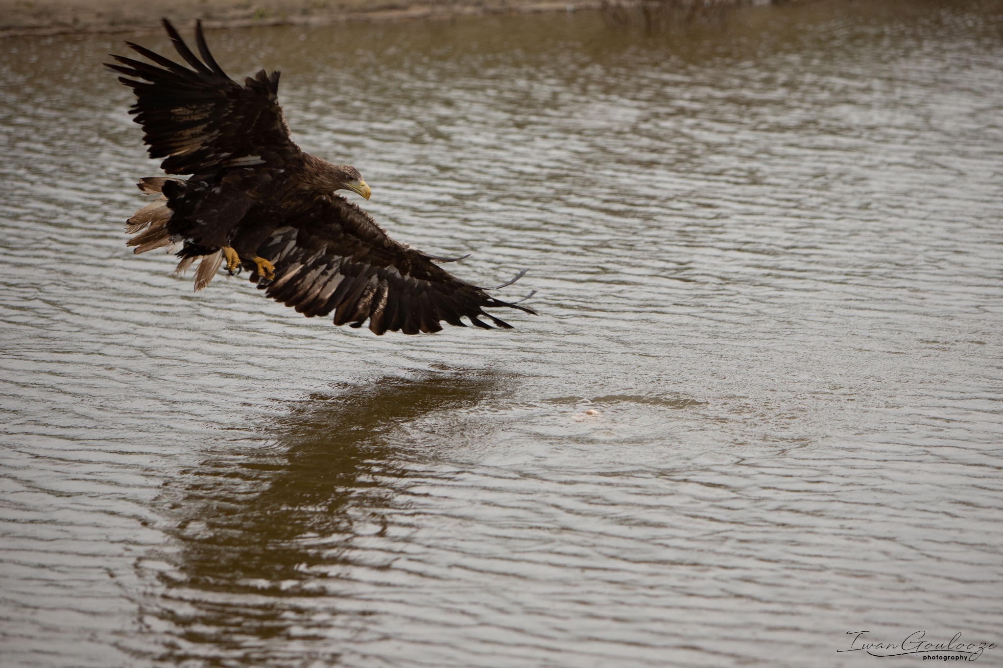  1DX2460 210410 15 36 00