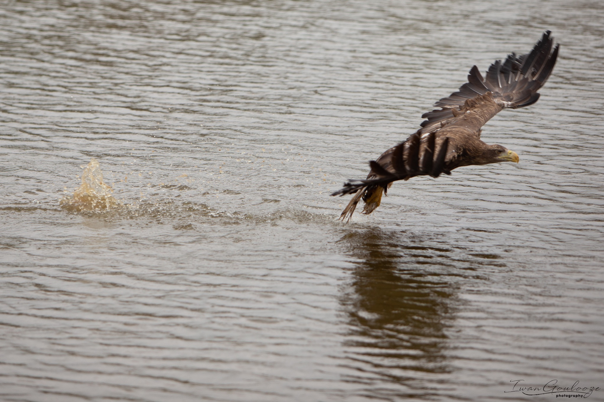  1DX2467 210410 15 36 01