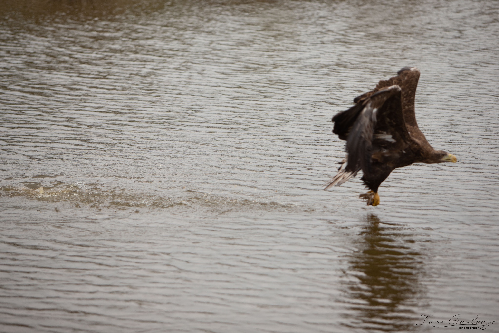  1DX2469 210410 15 36 01