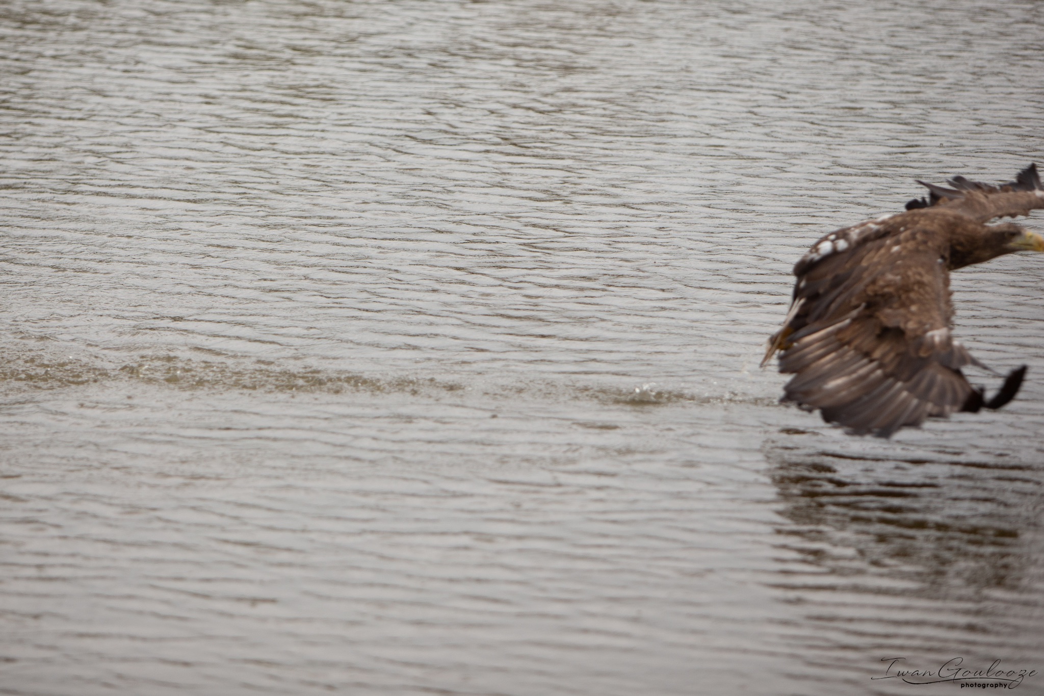  1DX2471 210410 15 36 01