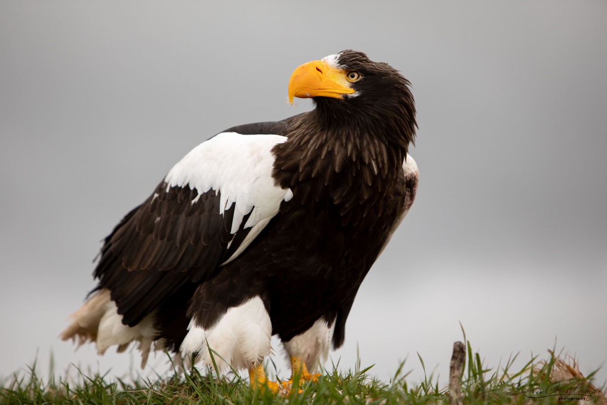 2Y6A9055 210317 12 29 53