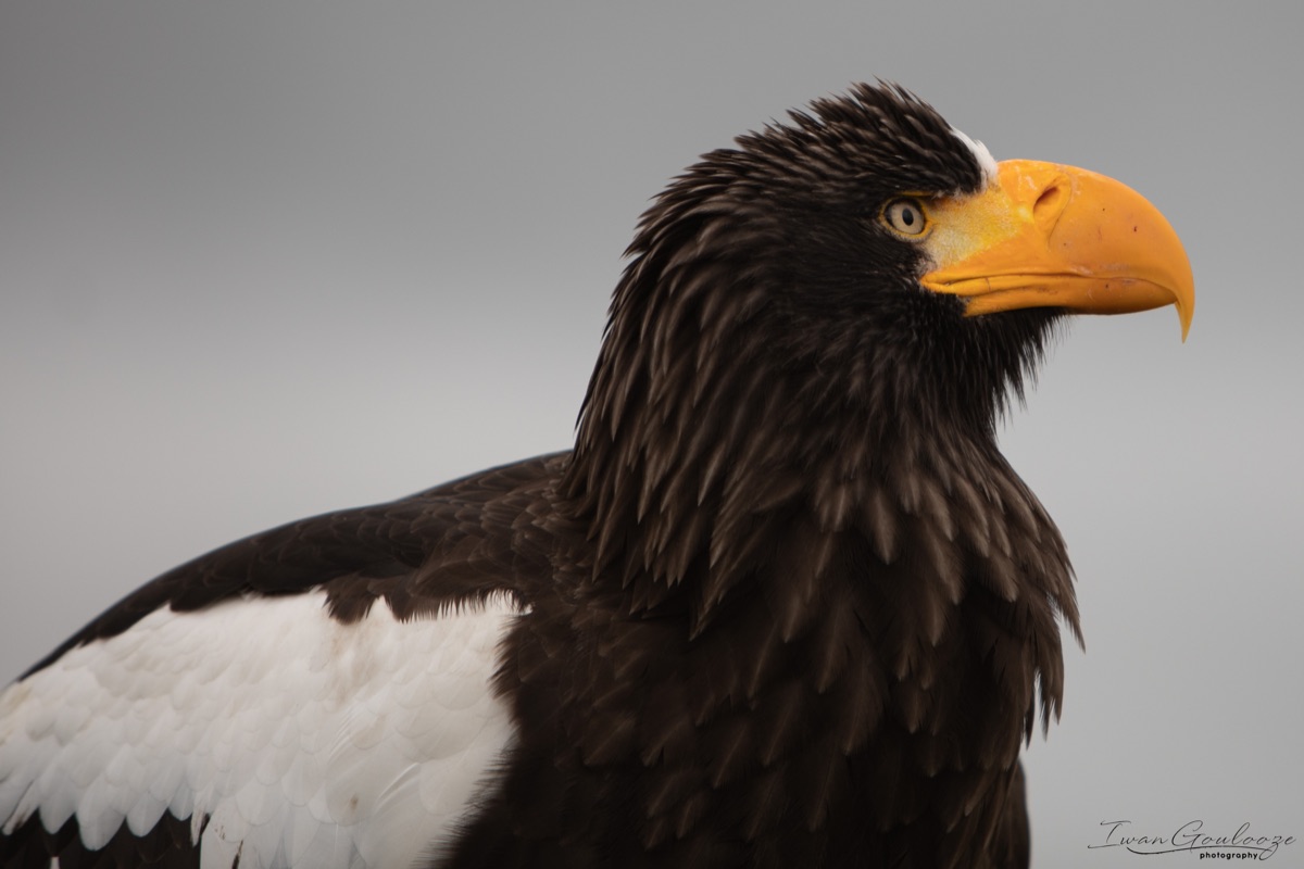 2Y6A9075 210317 12 30 49