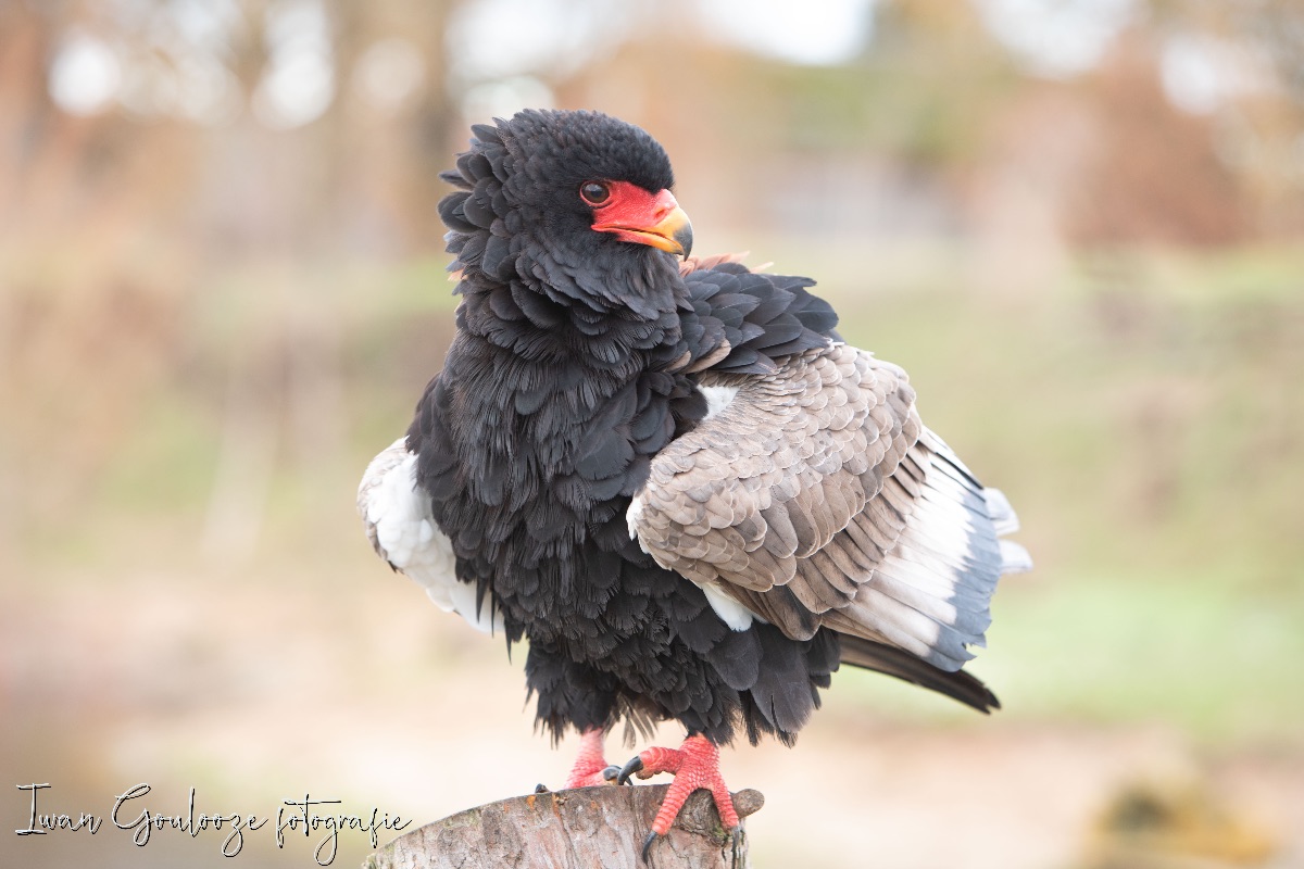 2Y6A2479 201204 13 19 57