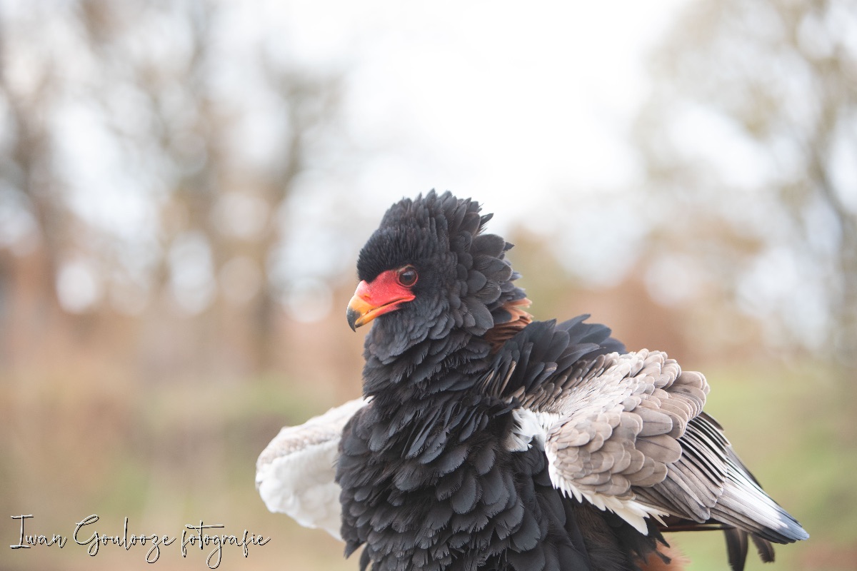 2Y6A2539 201204 13 21 53