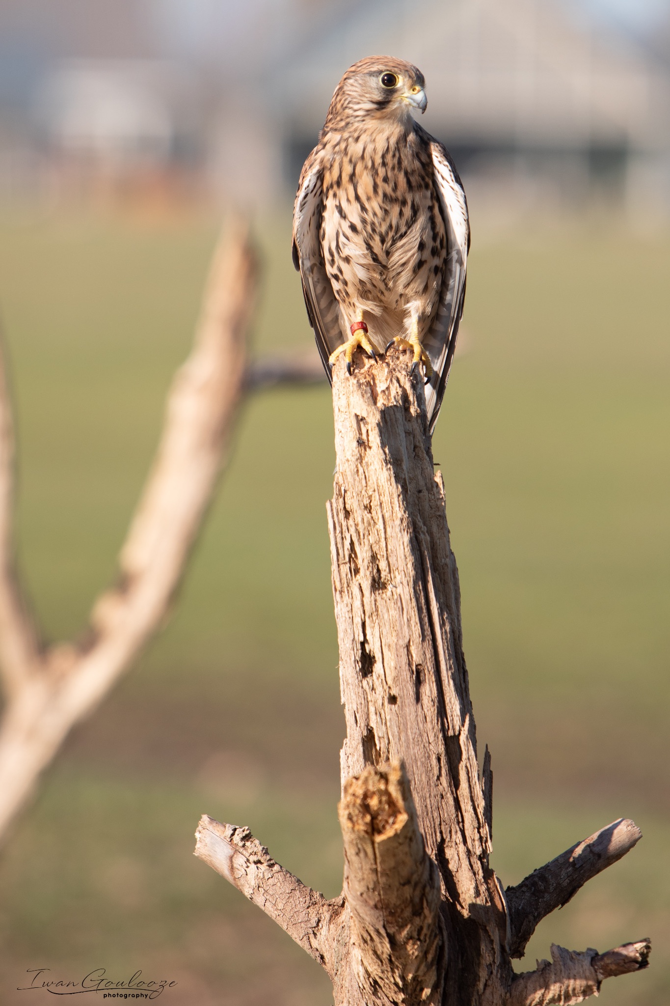 2Y6A5500 210227 14 40 11