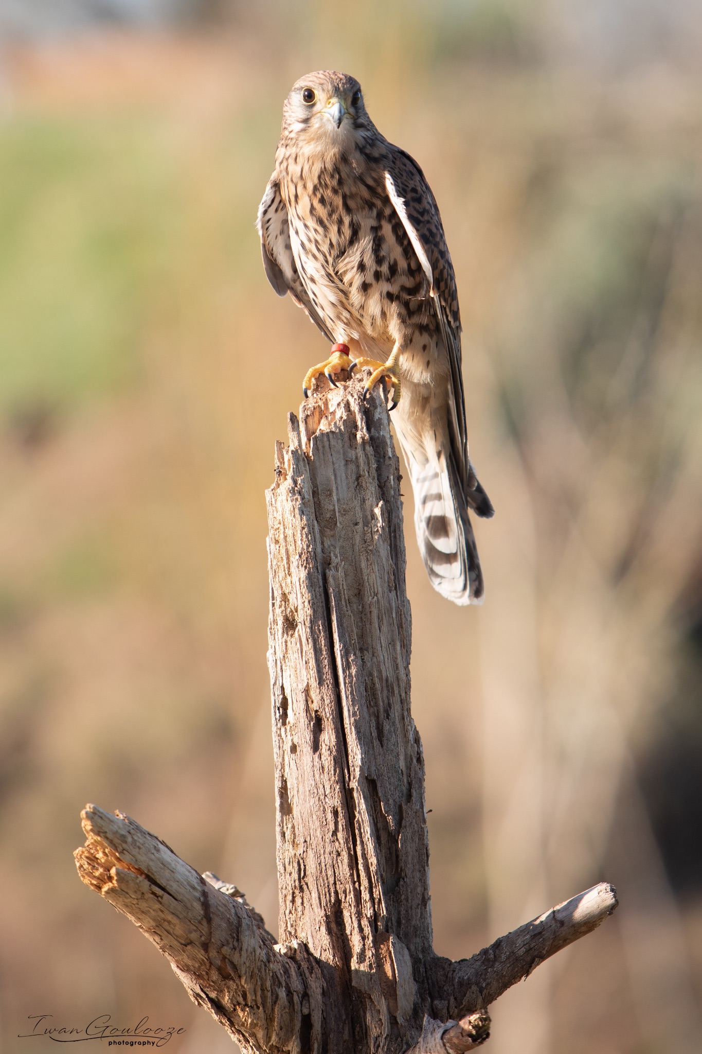 2Y6A5502 210227 14 40 29