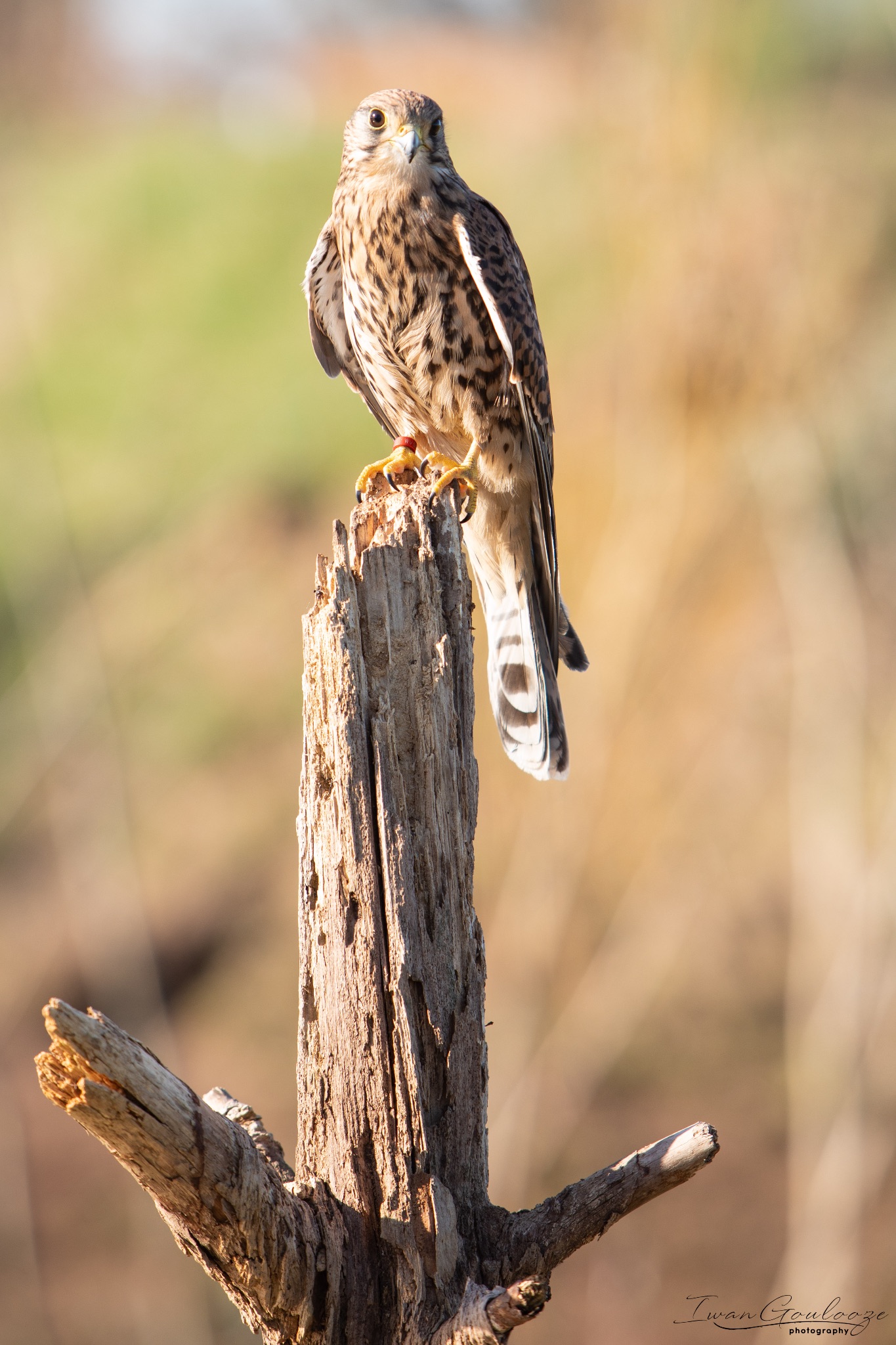 2Y6A5503 210227 14 40 37