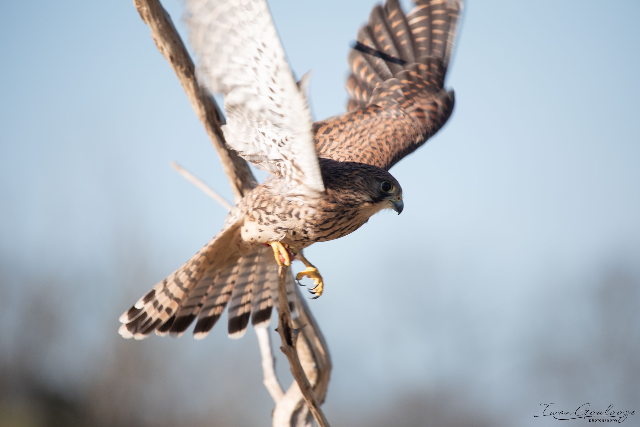 2Y6A5507 210227 14 42 32