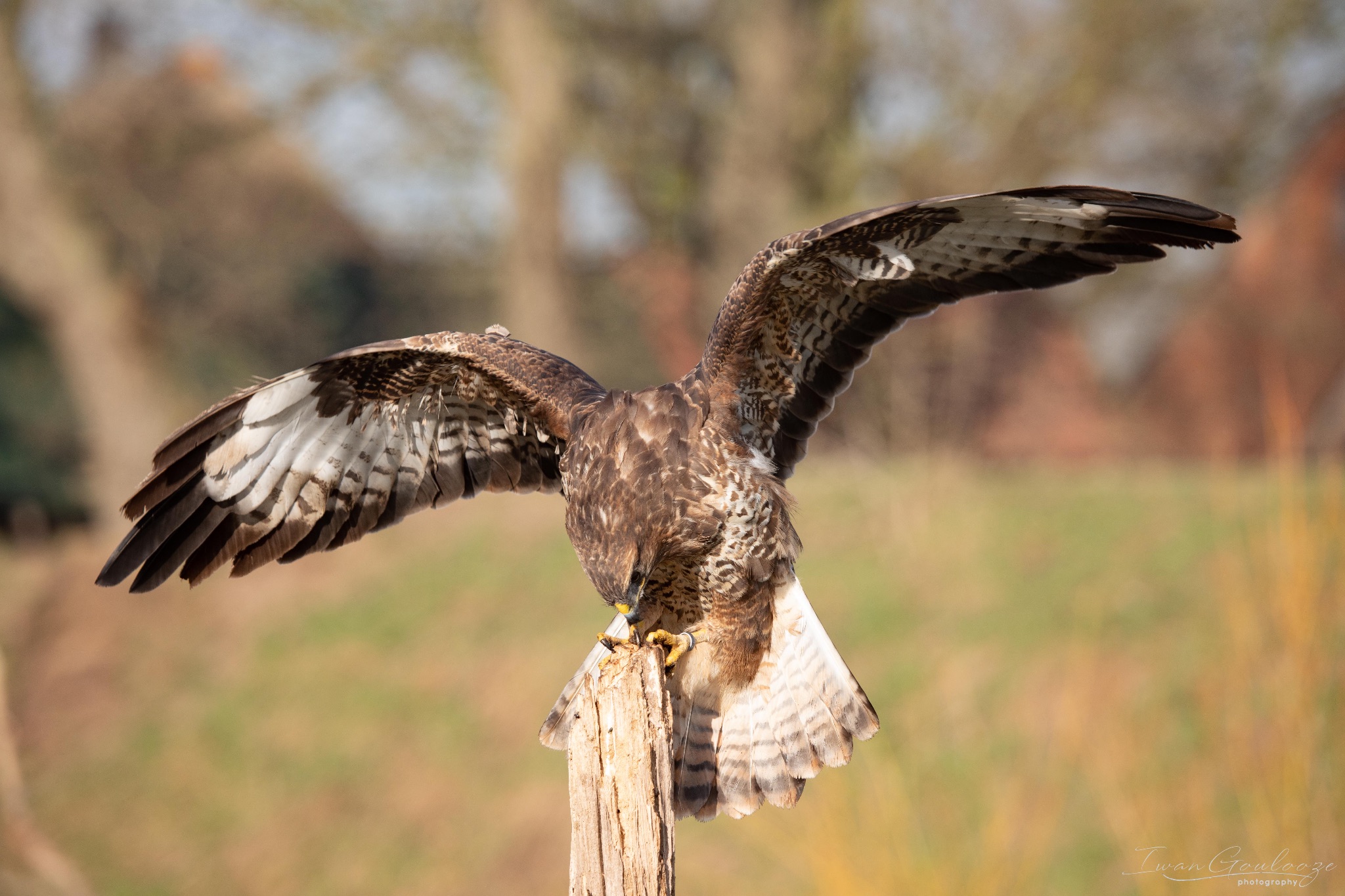 2Y6A6863 210306 09 40 17