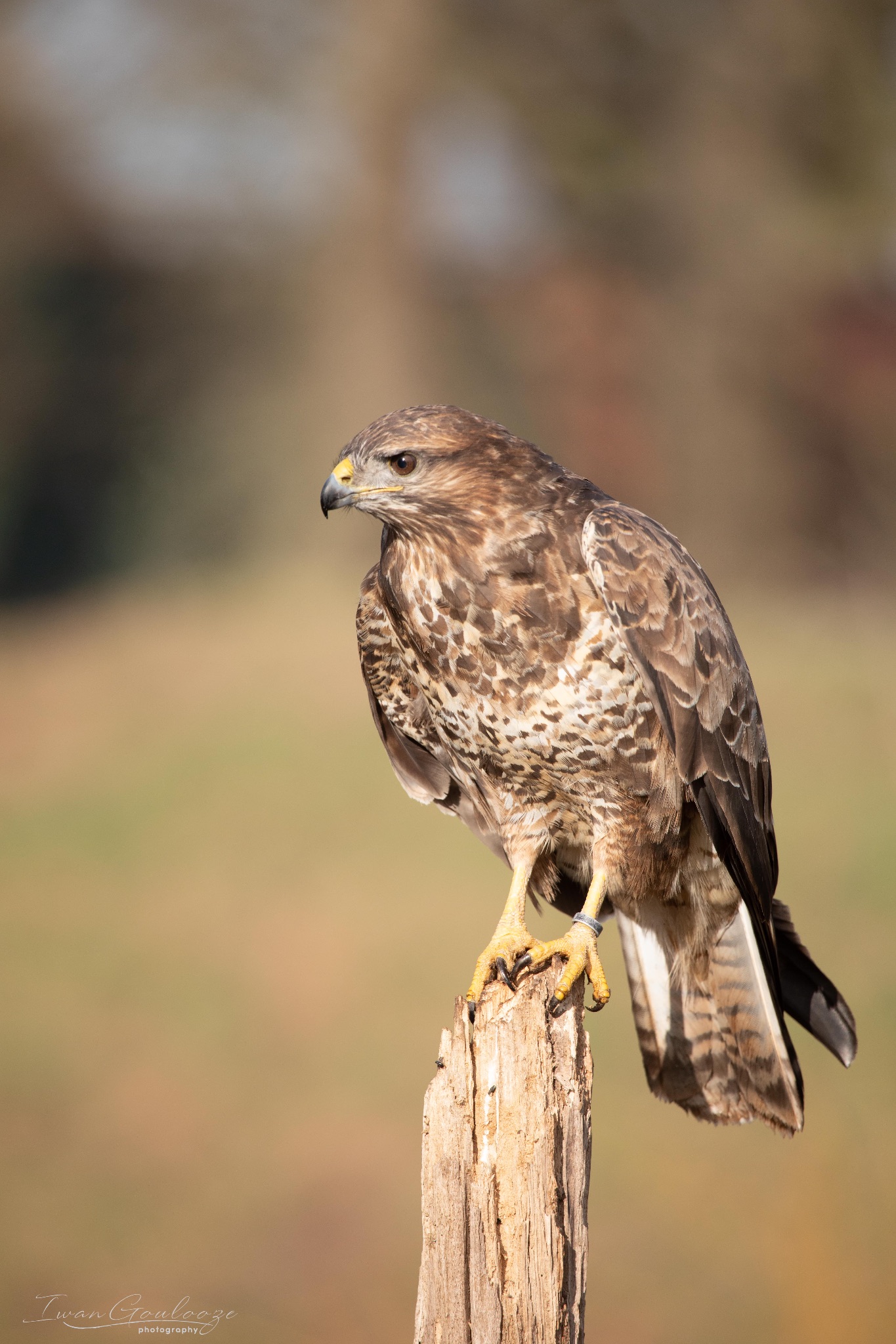 2Y6A6877 210306 09 40 36