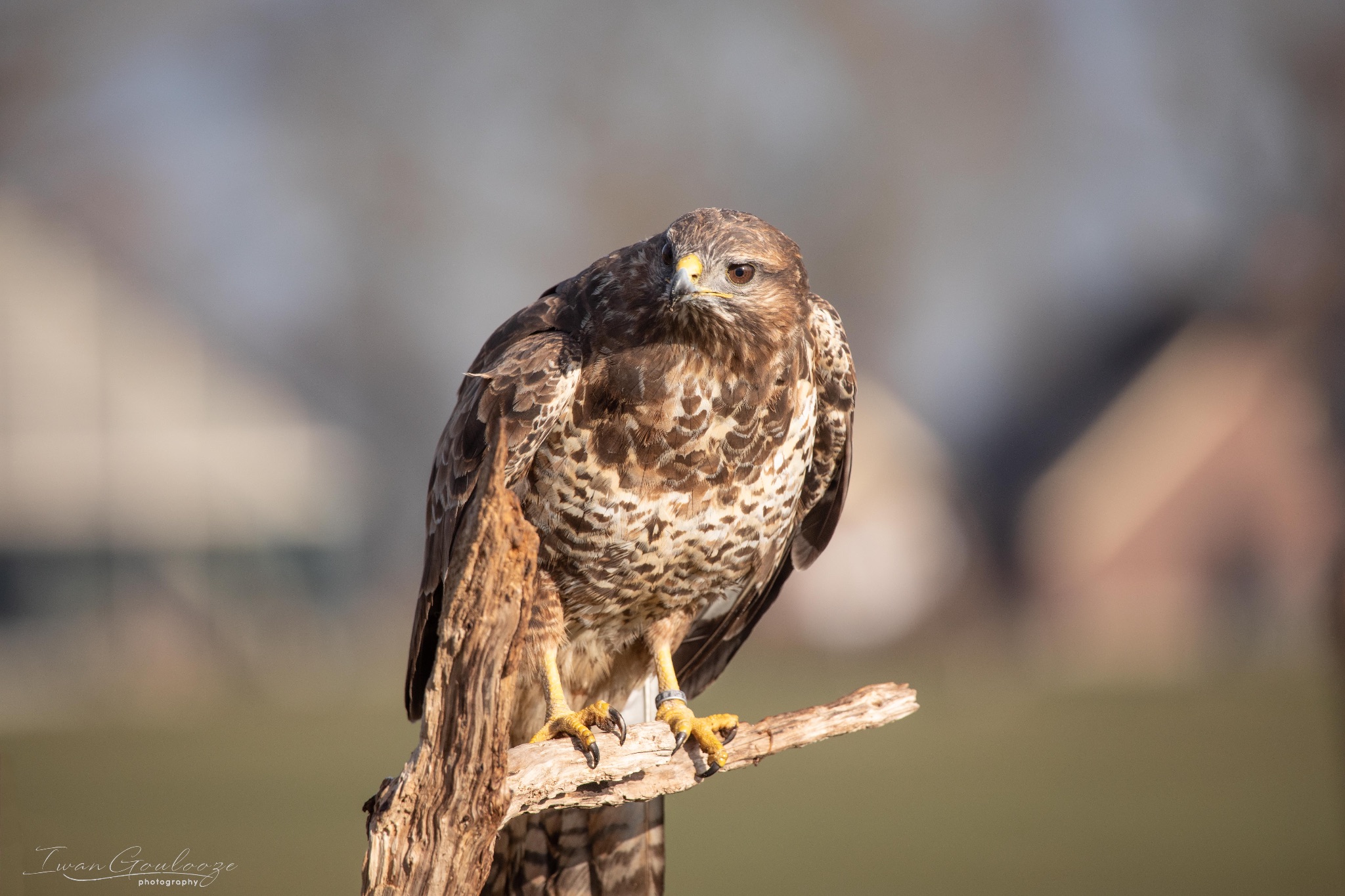 2Y6A6892 210306 09 41 48