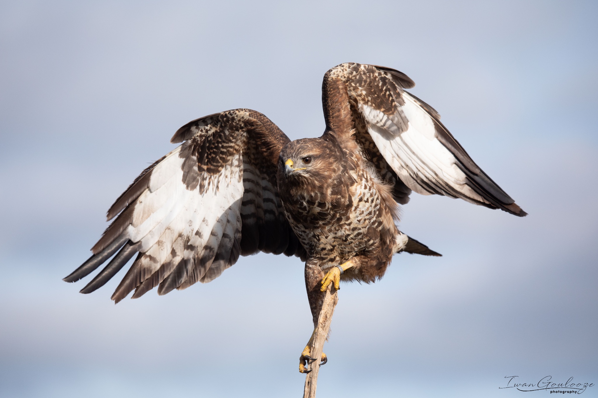 2Y6A6903 210306 09 42 57