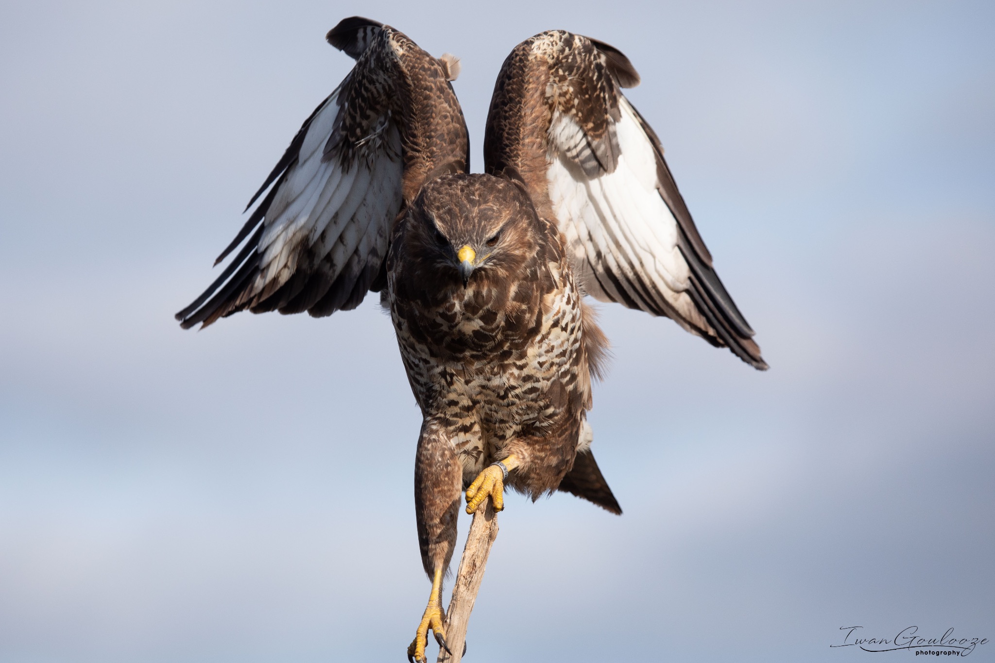 2Y6A6904 210306 09 42 57