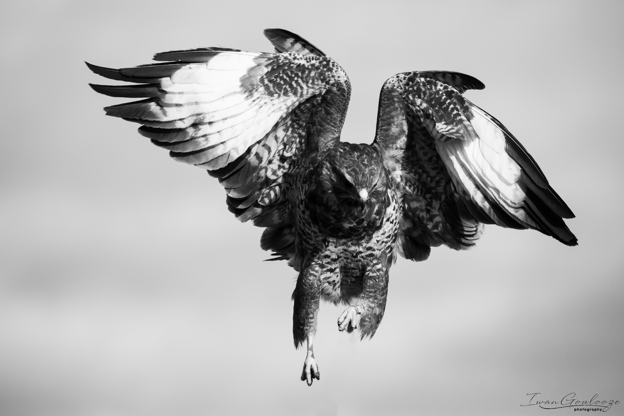 2Y6A6907 210306 09 42 57