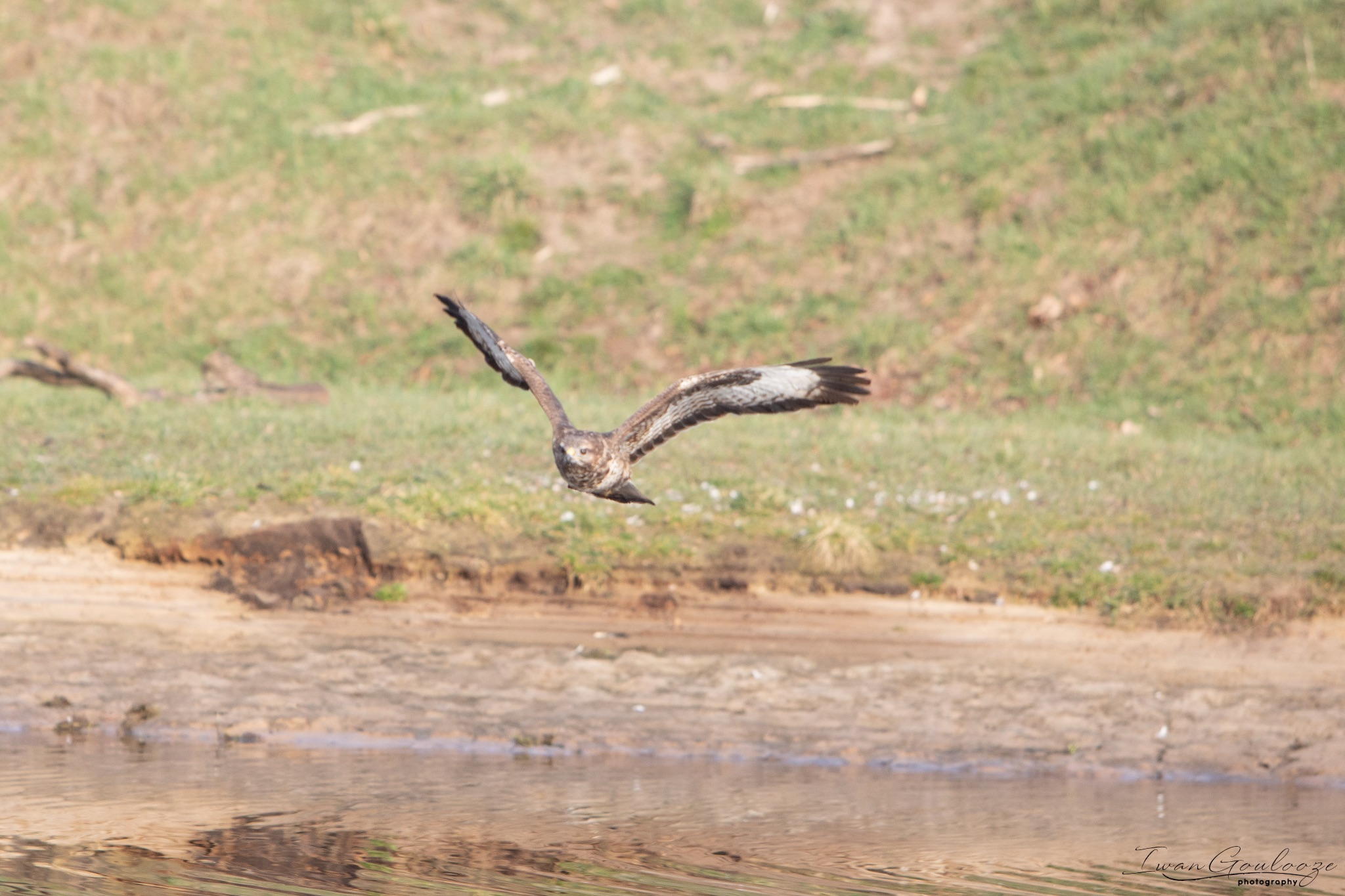 2Y6A6981 210306 09 50 34