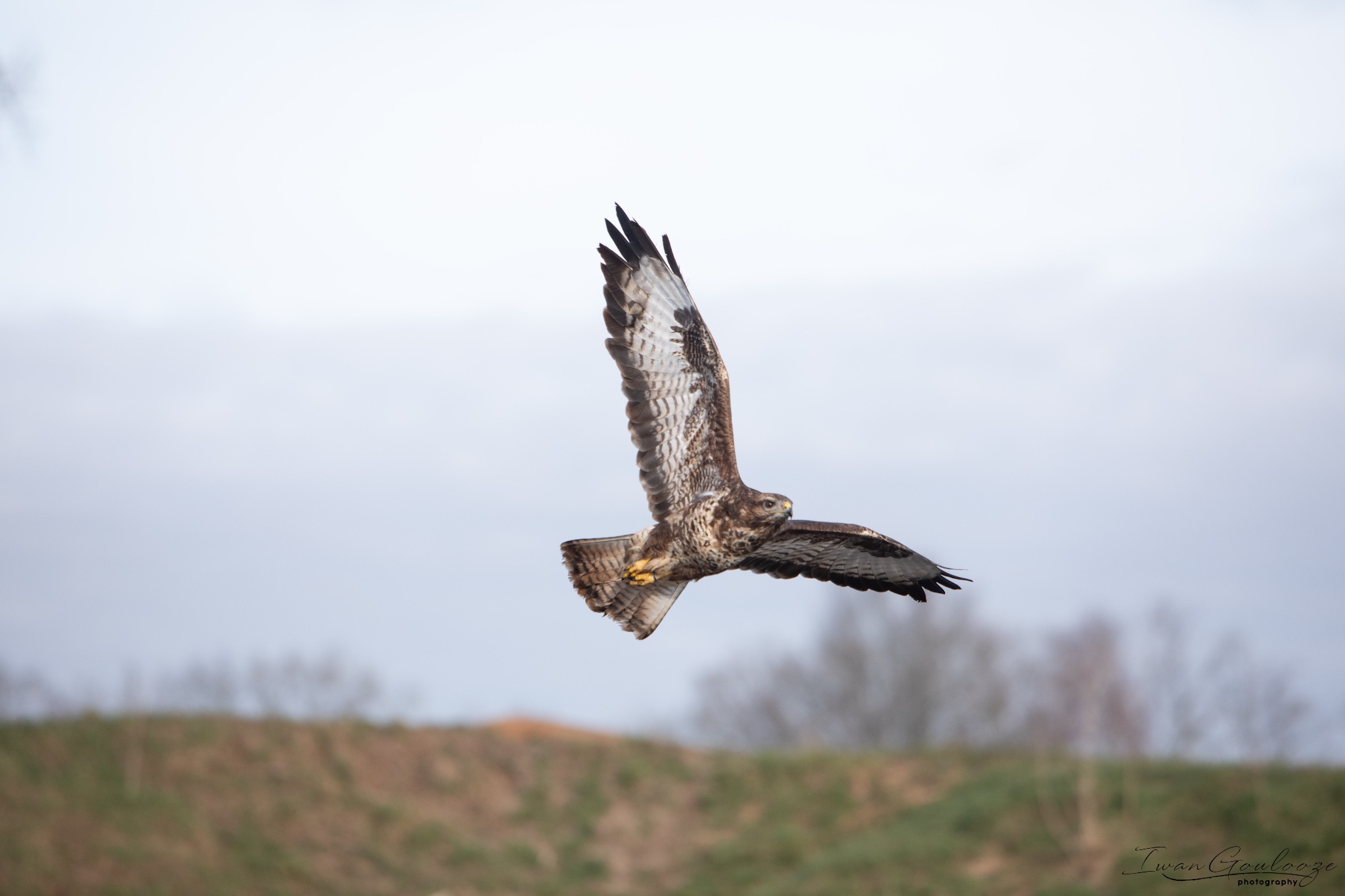 2Y6A6986 210306 09 50 35