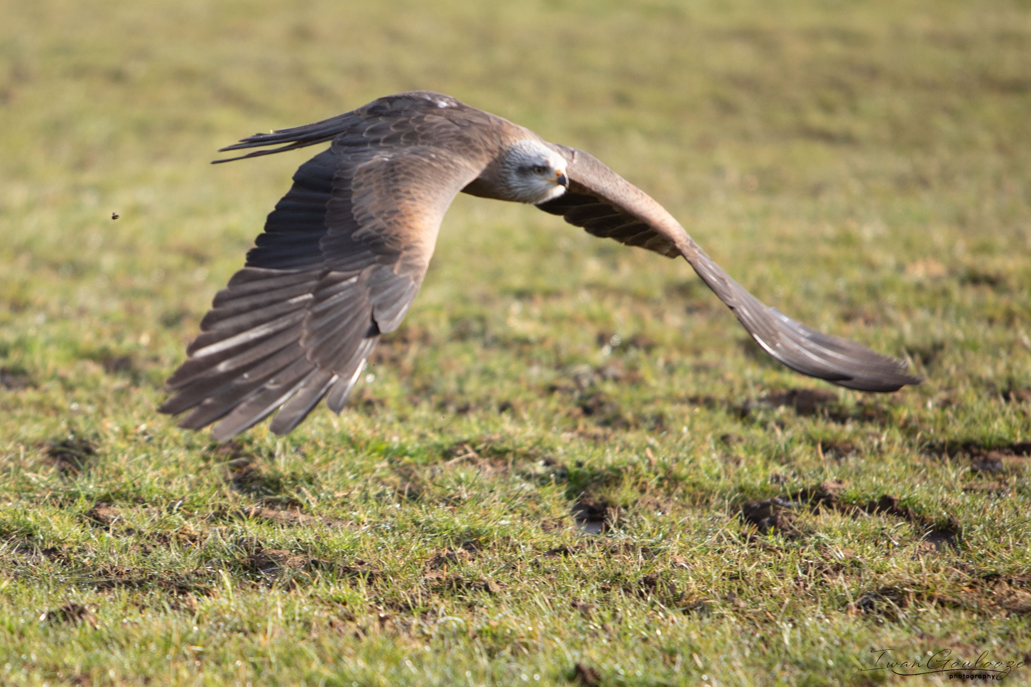 2Y6A7047 210306 10 00 02