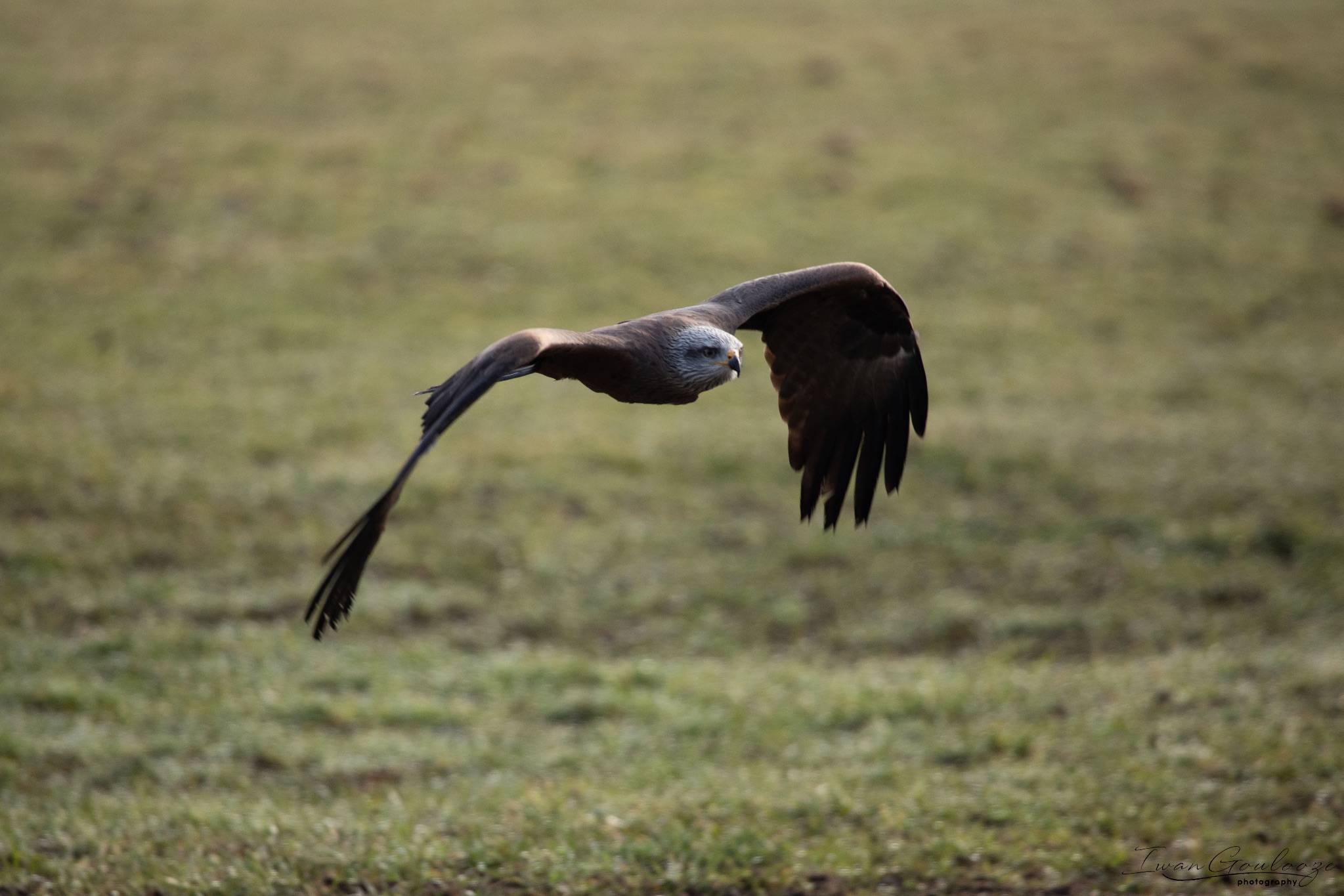 2Y6A7089 210306 10 06 11