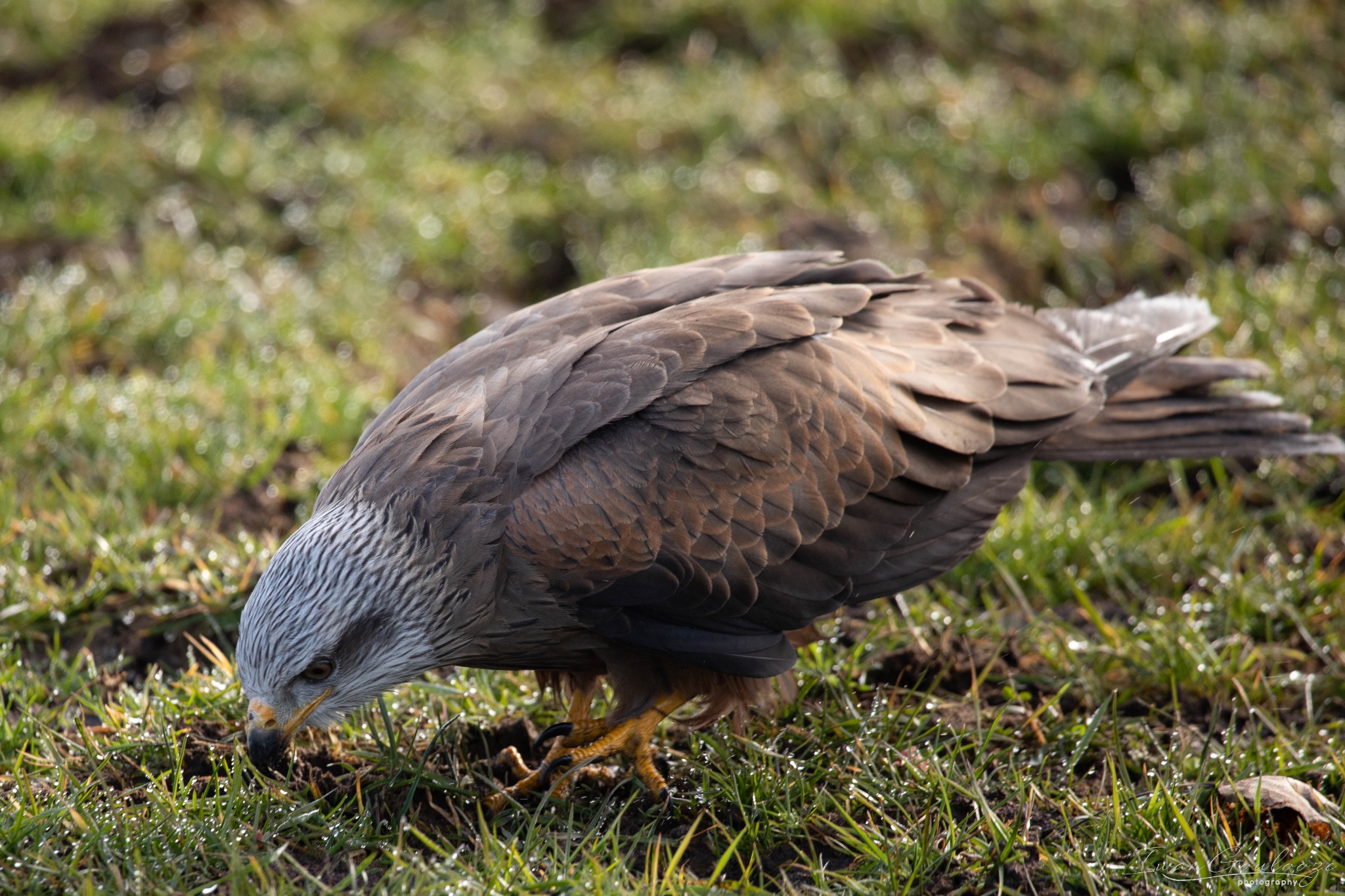 2Y6A7112 210306 10 07 27