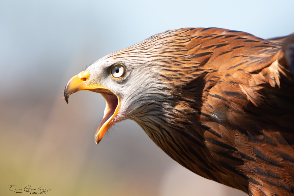 2Y6A5587 210227 14 53 08