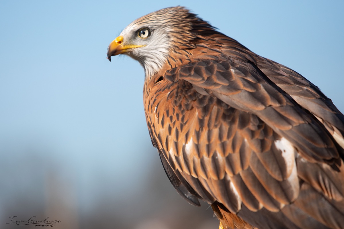 2Y6A5605 210227 14 53 33