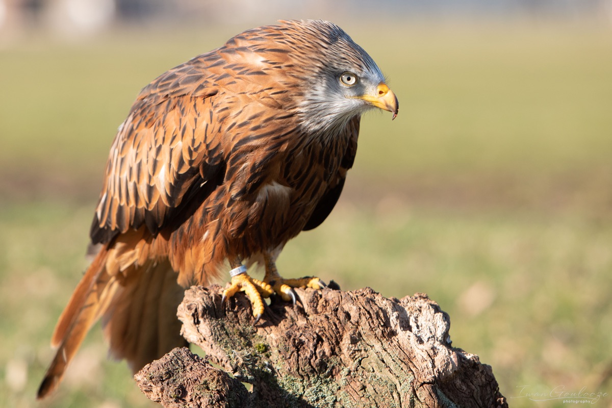 2Y6A5630 210227 14 54 18