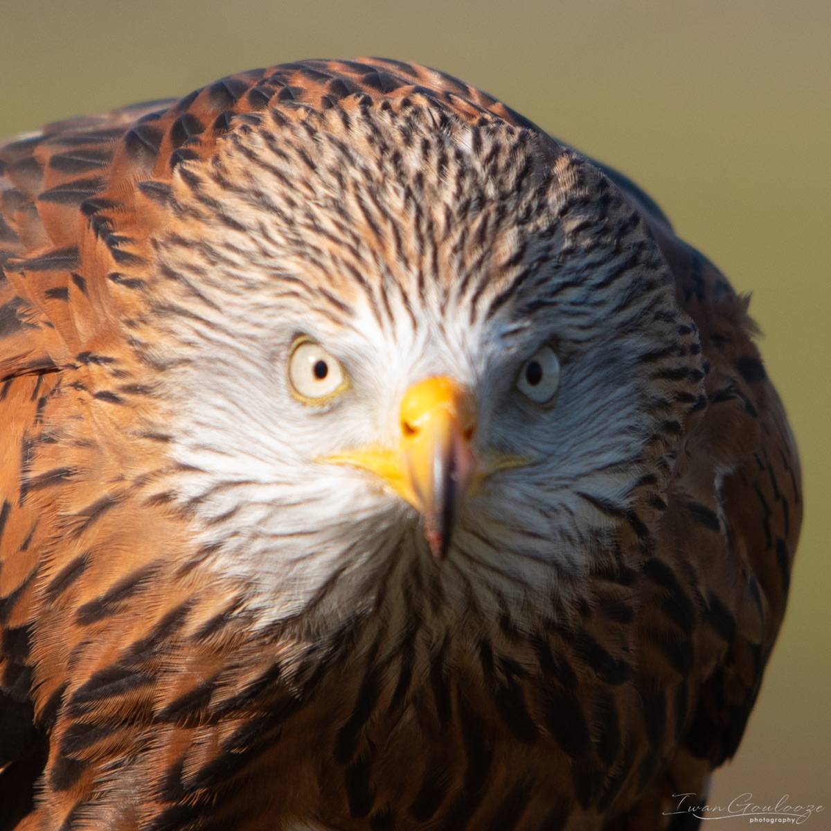 2Y6A5635 210227 14 54 25