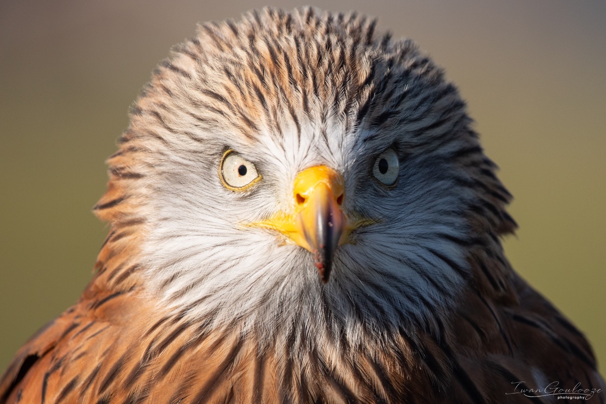 2Y6A5675 210227 14 55 50