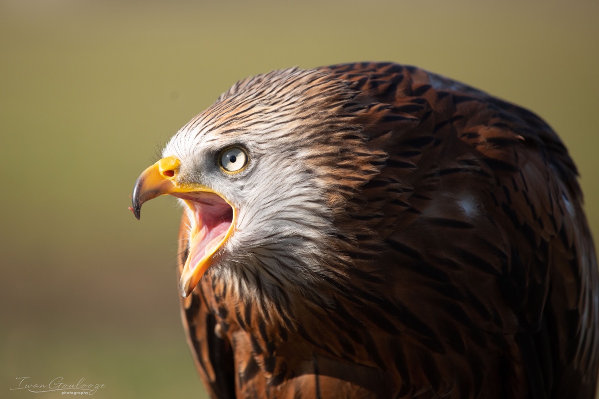 2Y6A5686 210227 14 55 54