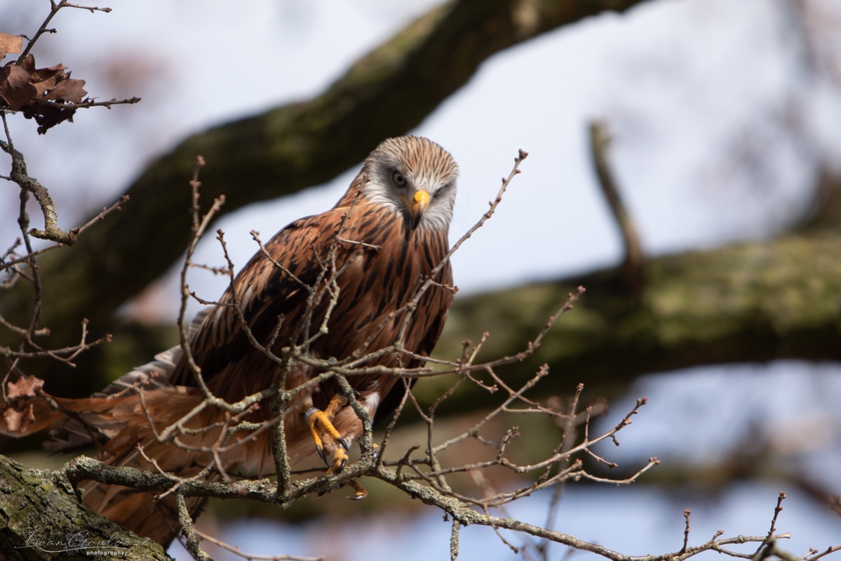 2Y6A7463 210306 11 27 18