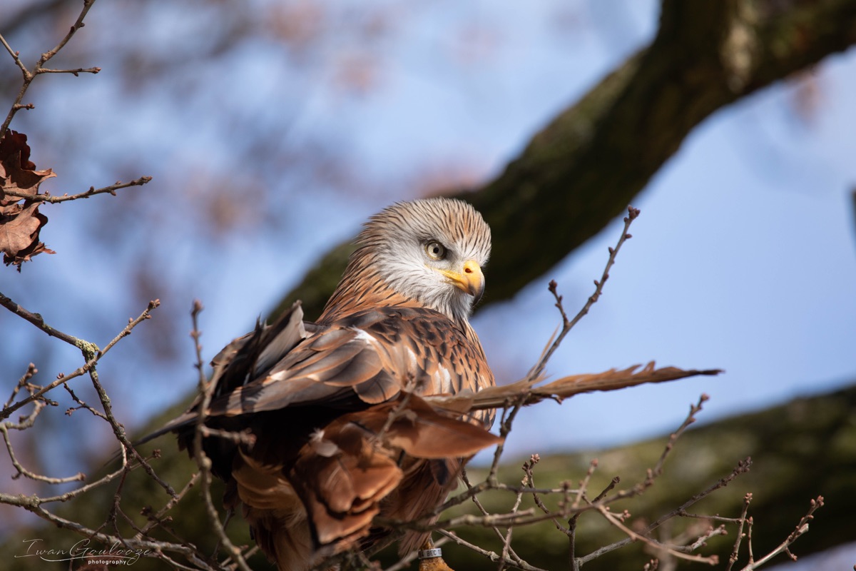 2Y6A7478 210306 11 29 56