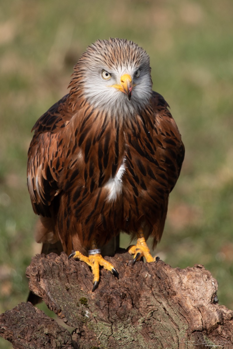 2Y6A7689 210306 12 03 17