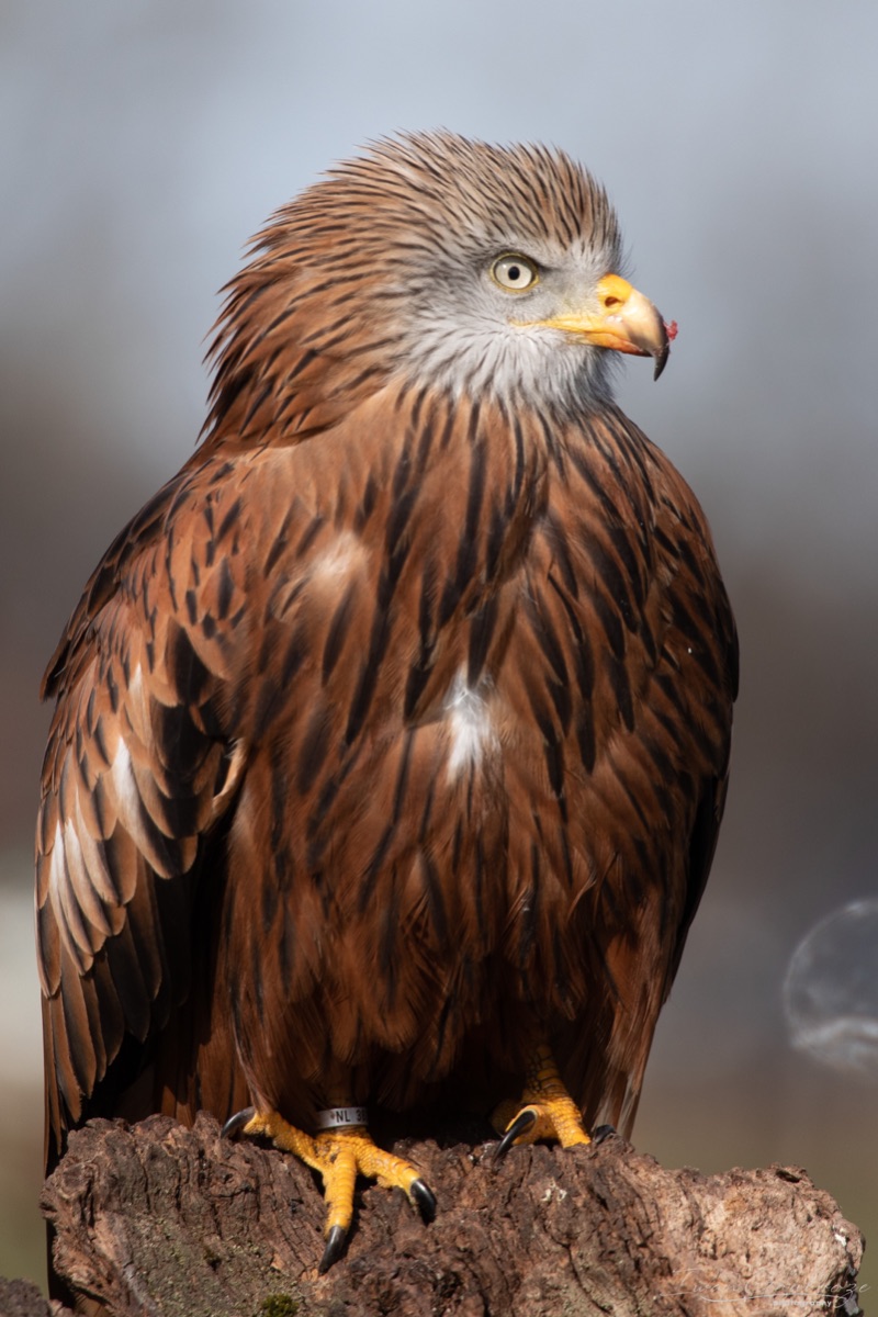 2Y6A7700 210306 12 04 20