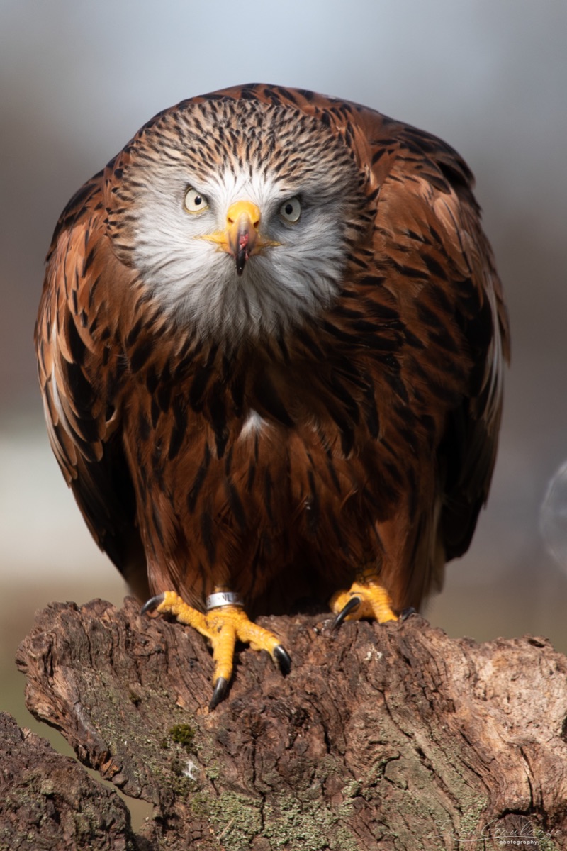 2Y6A7706 210306 12 04 32