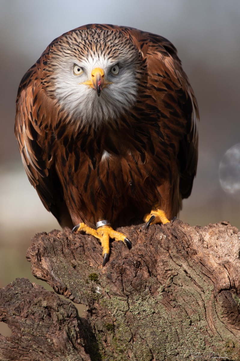 2Y6A7711 210306 12 04 33