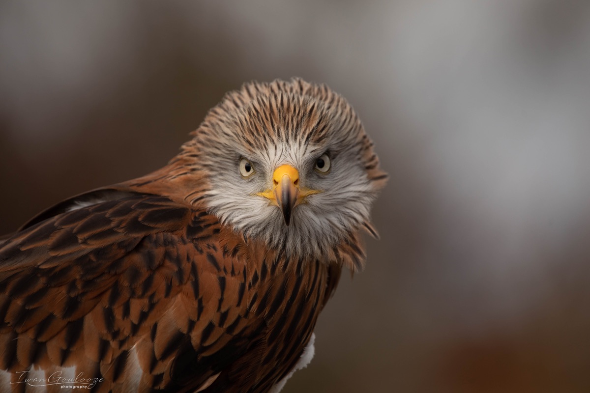 2Y6A8715 210317 10 57 11