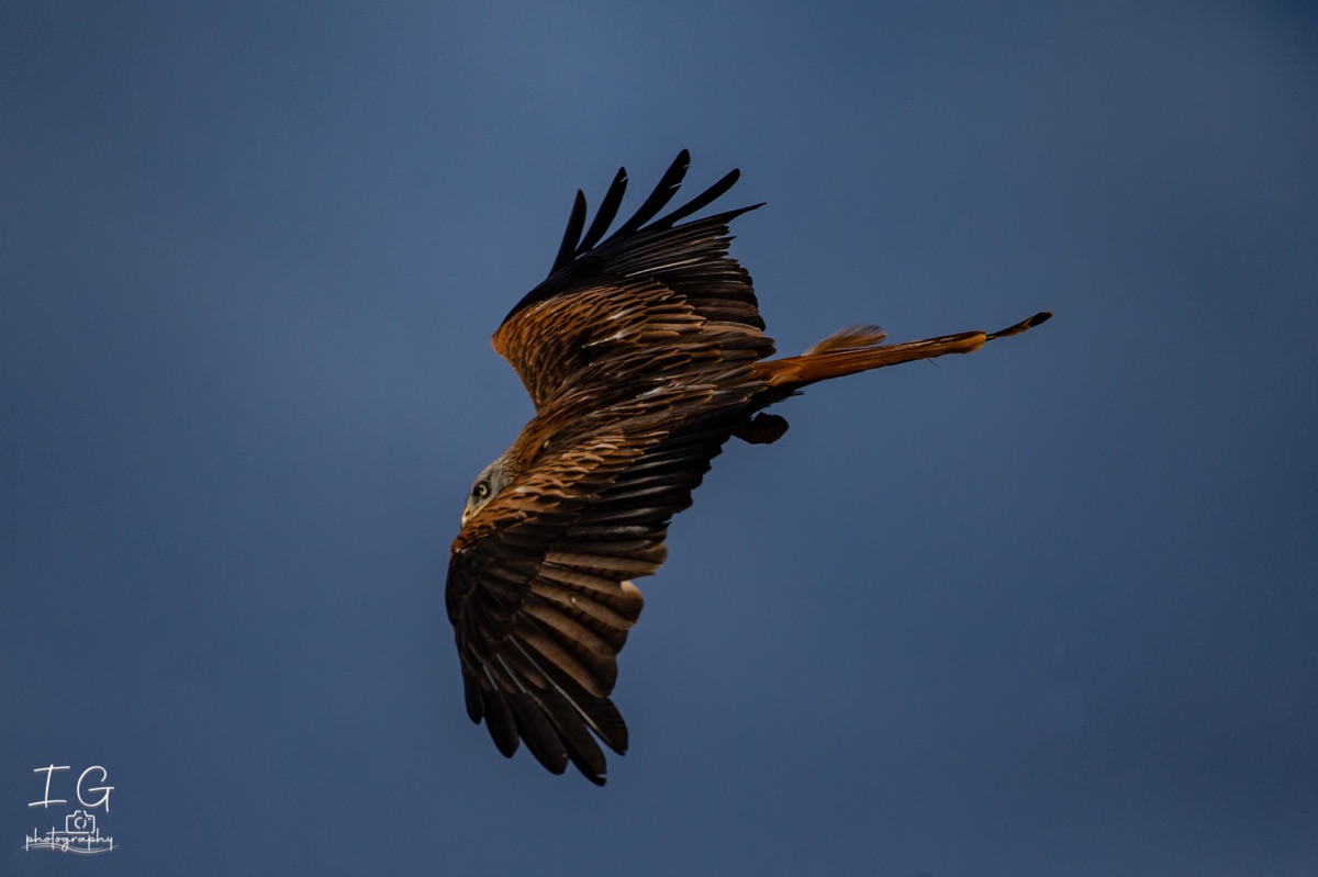  1DX0055 210928 10 28 44