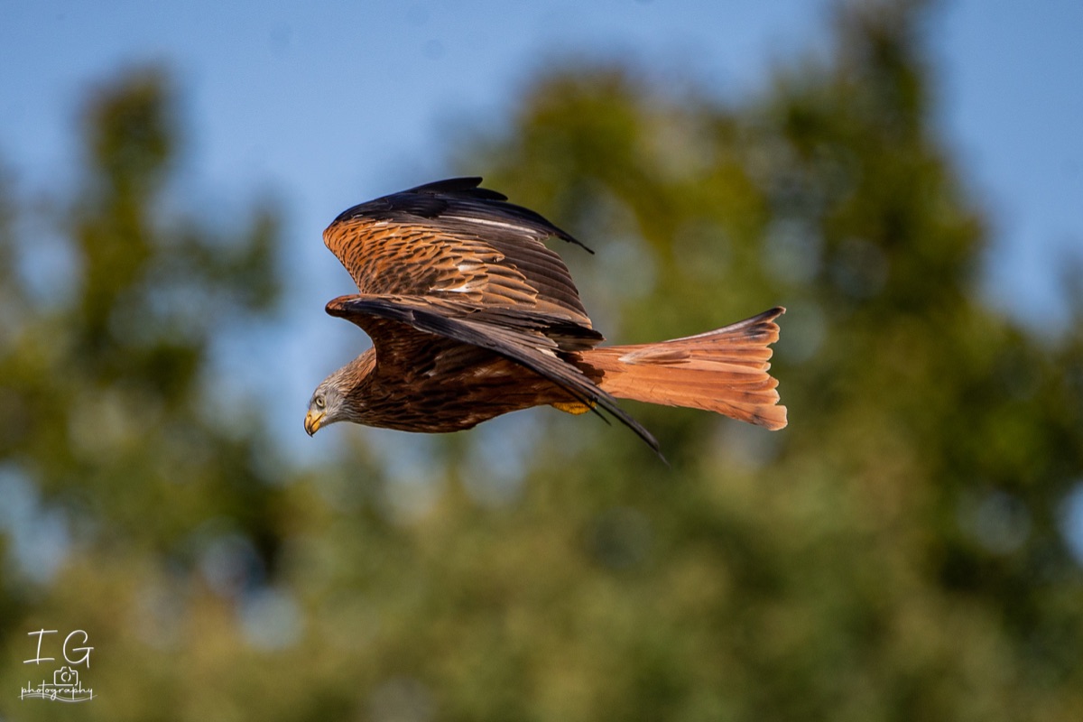  1DX0095 210928 10 36 19