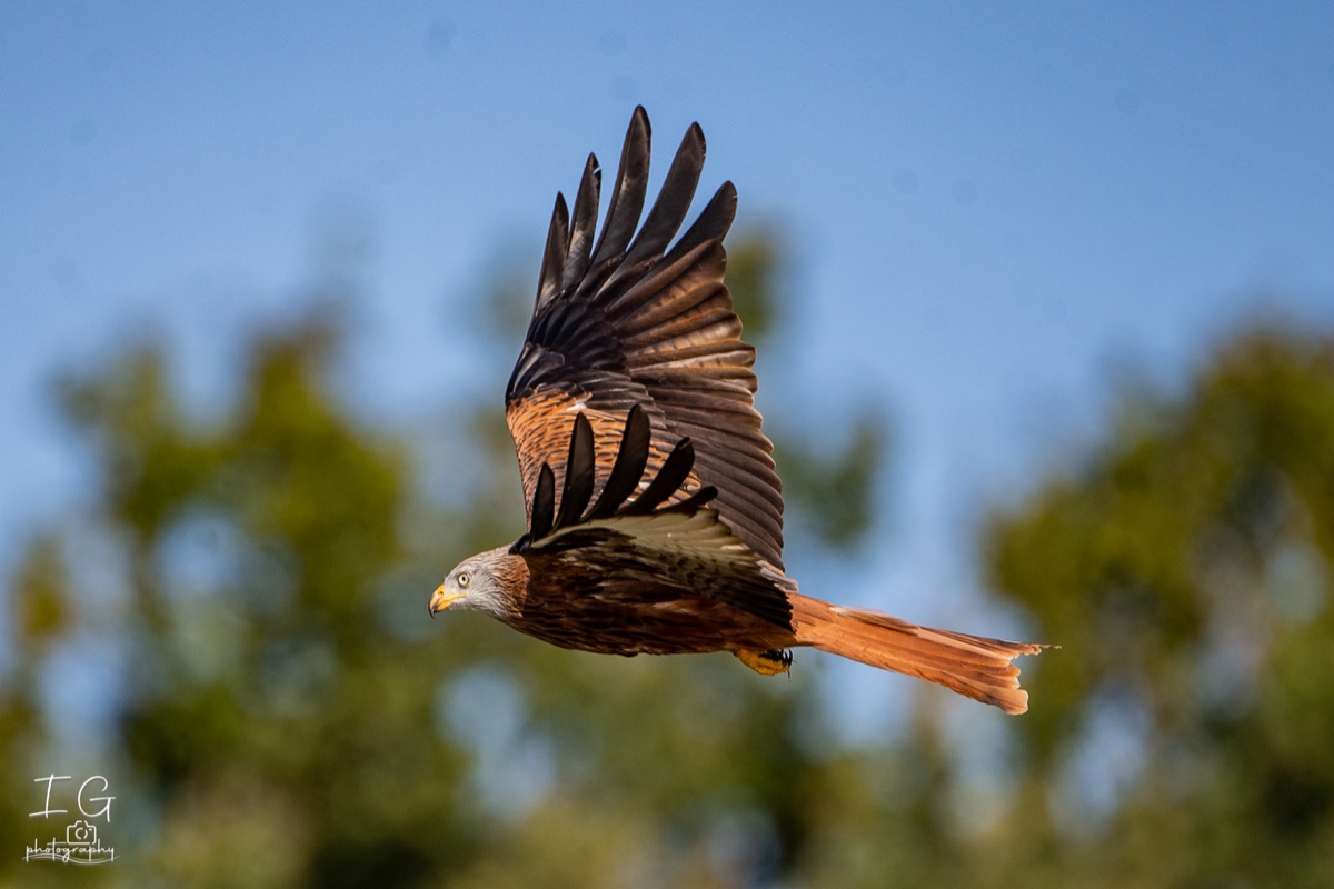  1DX0096 210928 10 36 20