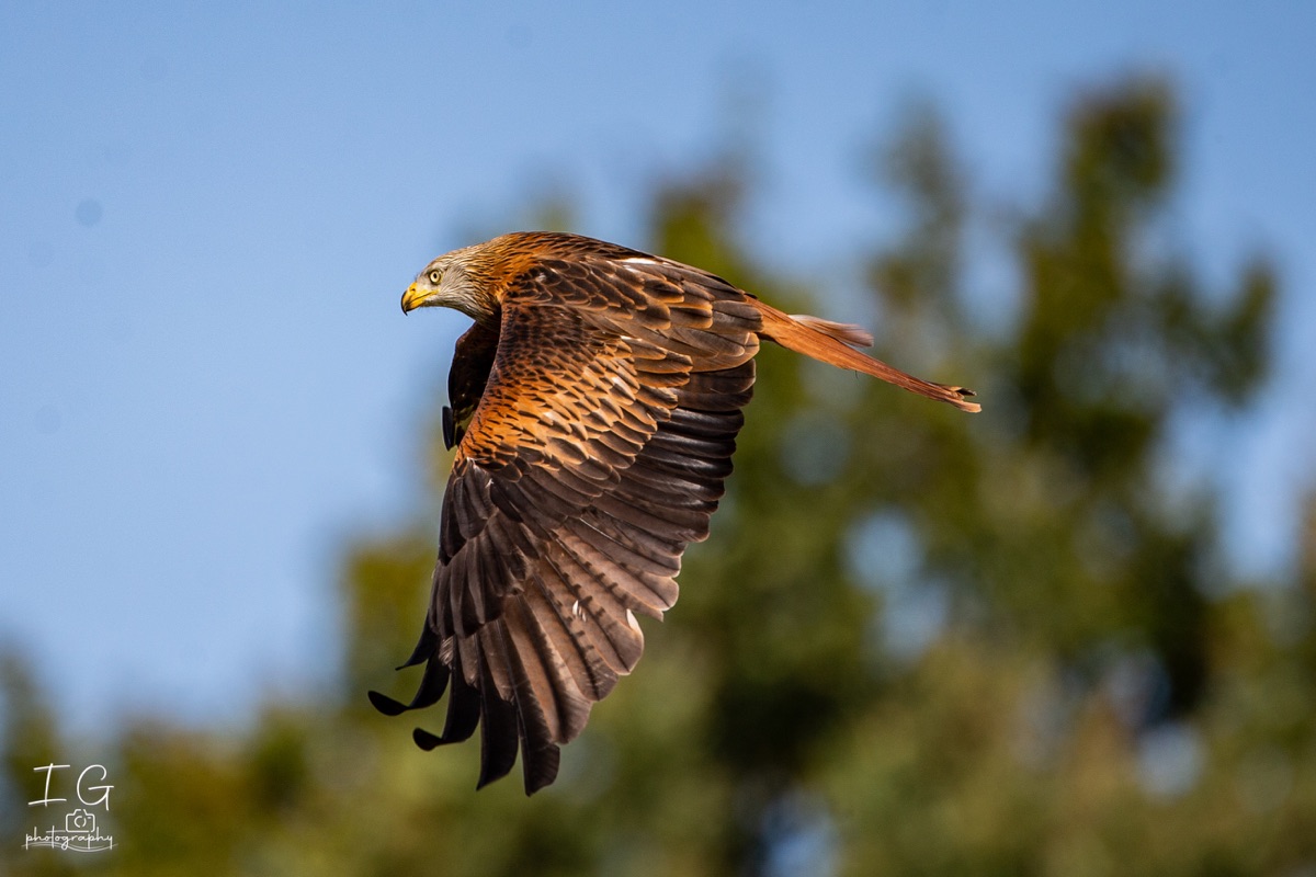  1DX0097 210928 10 36 20