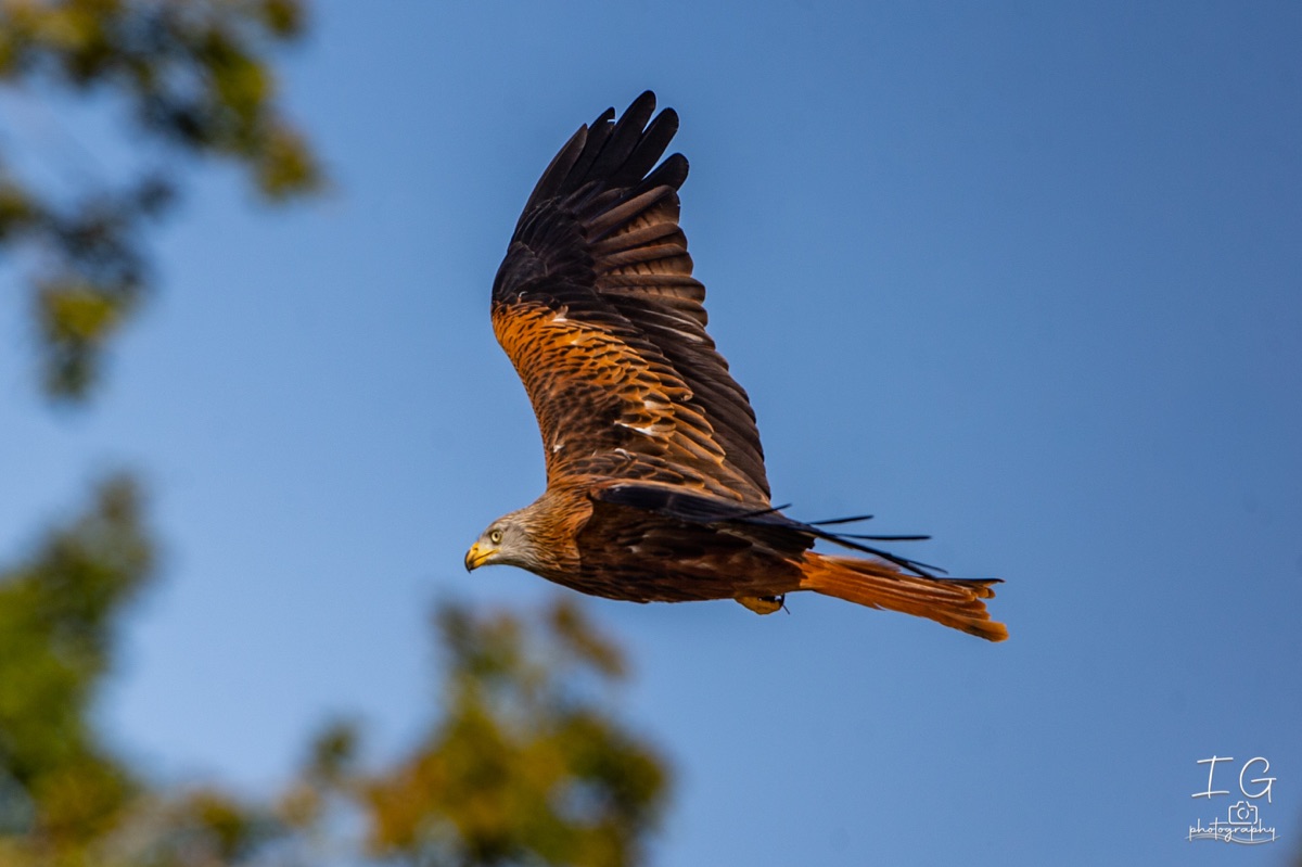  1DX0099 210928 10 36 20