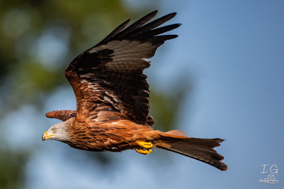  1DX0114 210928 10 36 36