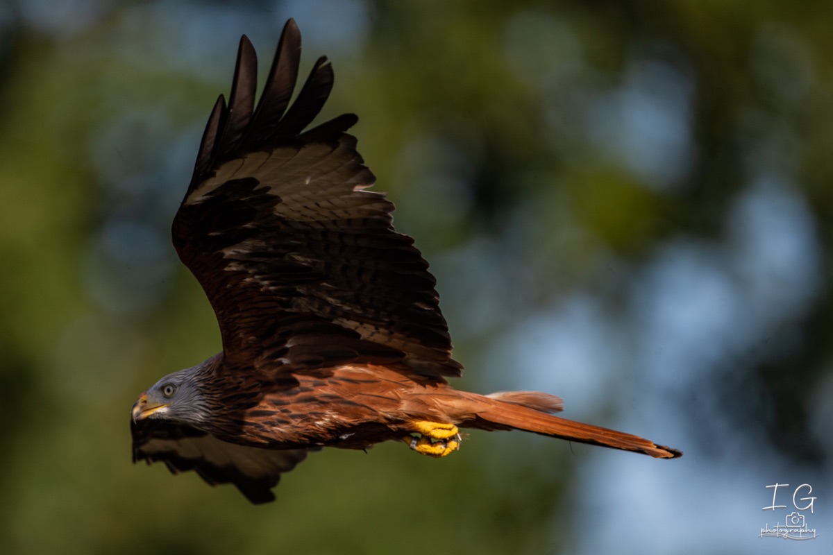  1DX0115 210928 10 36 36