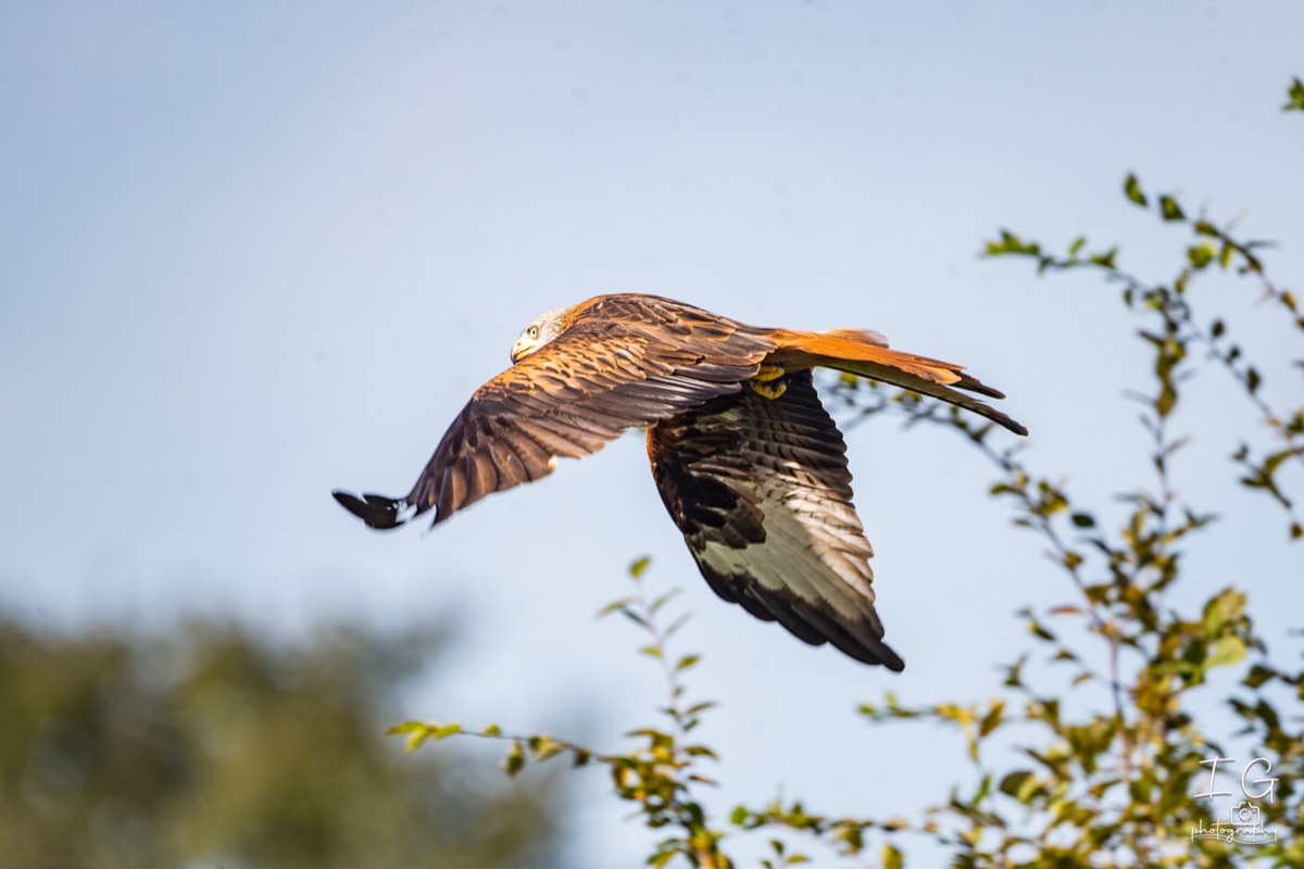  1DX0141 210928 10 42 05