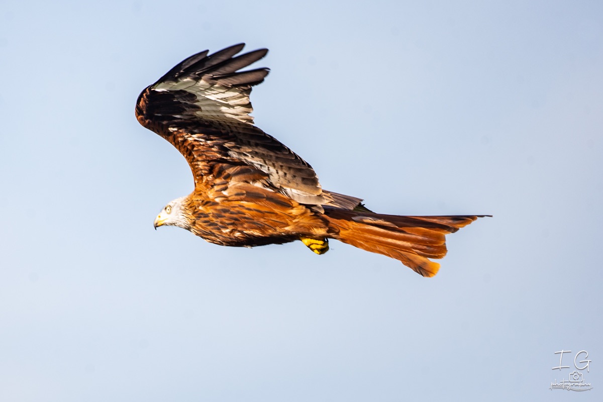  1DX0143 210928 10 42 06