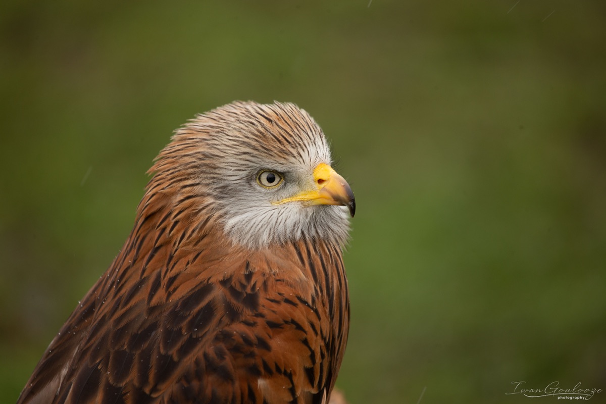  1DX1721 210410 13 33 12