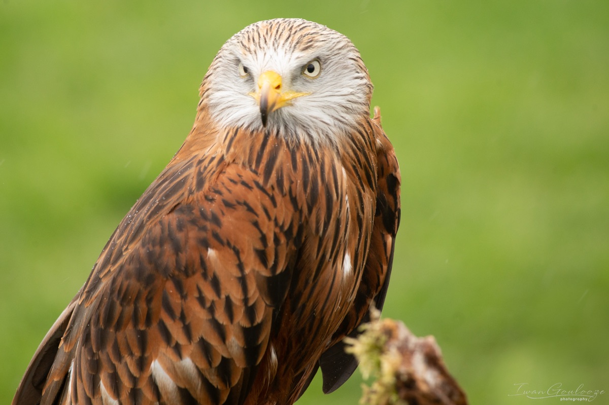  1DX1728 210410 13 34 20