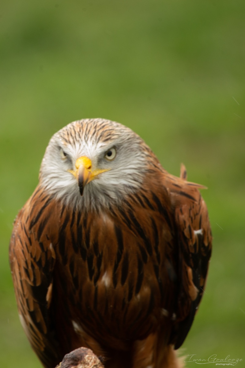  1DX1752 210410 13 36 55