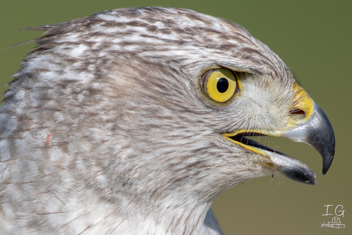  5D48824 210928 11 07 35 2