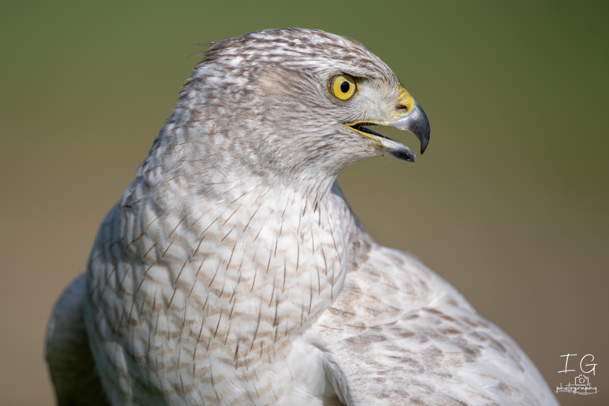  5D48824 210928 11 07 35